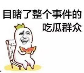 娱乐吃瓜菌走向共和,历史剧中的权力与欲望风云