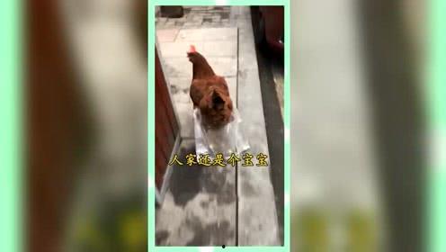 吃瓜群众的娱乐网名大全,网络热词“吃瓜群众”背后的娱乐文化现象解析