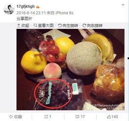 娱乐吃瓜小号,幕后故事与网络影响力