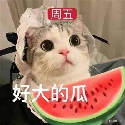 娱乐吃瓜名字大全女生,创意无限的游戏昵称大盘点