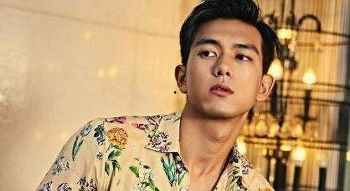 娱乐圈男明星的吃瓜,娱乐圈男明星的“瓜田”奇遇记