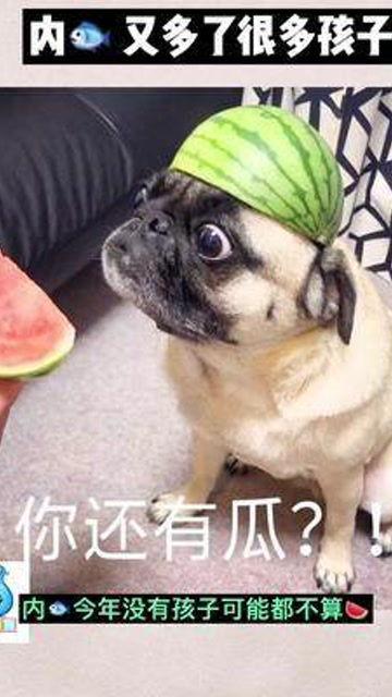 娱乐吃瓜酱宝宝是谁,网络红人的崛起之路