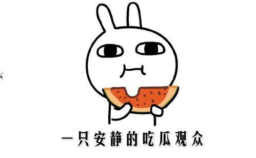 娱乐吃瓜酱晚安蠢蛋,揭秘娱乐圈的甜蜜与苦涩