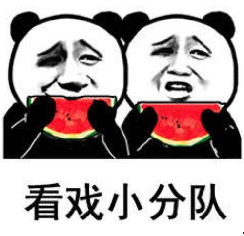 吃瓜娱乐图片搞笑可爱图,搞笑可爱图鉴，带你领略吃瓜乐趣