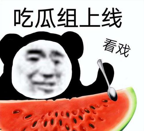 娱乐吃瓜酱笑声,揭秘“娱乐吃瓜酱”的爆笑瞬间