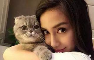 娱乐吃瓜猫咪视频,猫咪吃瓜视频大盘点